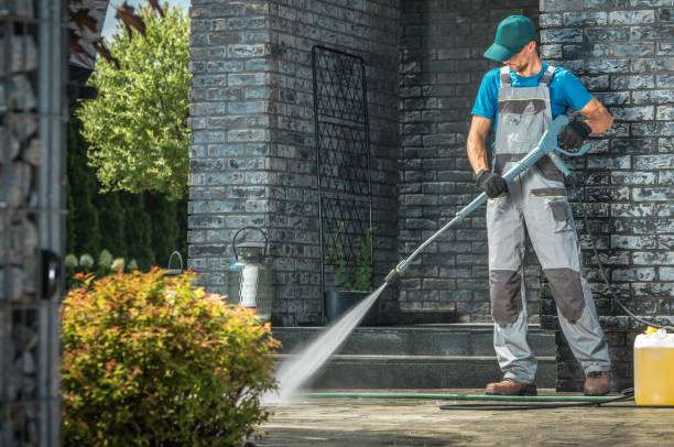 Best House Exterior Washing  in Lapeer, MI