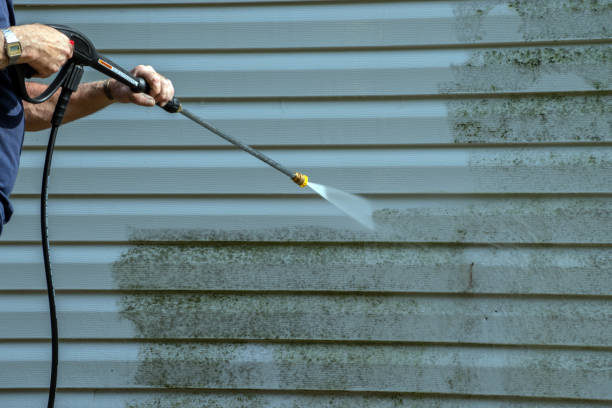 Best Driveway Pressure Washing  in Lapeer, MI