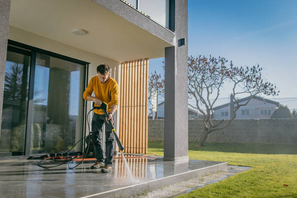 Best Pool Deck Cleaning  in Lapeer, MI