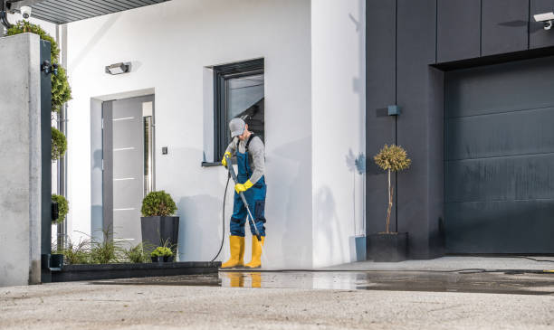 Best Graffiti Removal  in Lapeer, MI